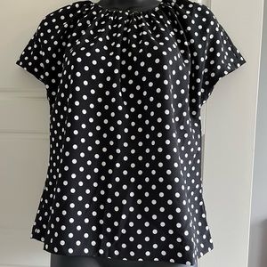 NWOT ANn Taylor polka dot short sleeve blouse. Size XSP